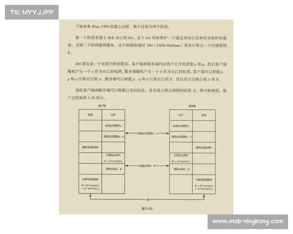 澳大利亚板球协会与Sportradar续签十年合作协议 数据合作金额创历史新高 澳大利亚板球协会与Sportradar续签十年合作协议 数据合作金额创历史新高